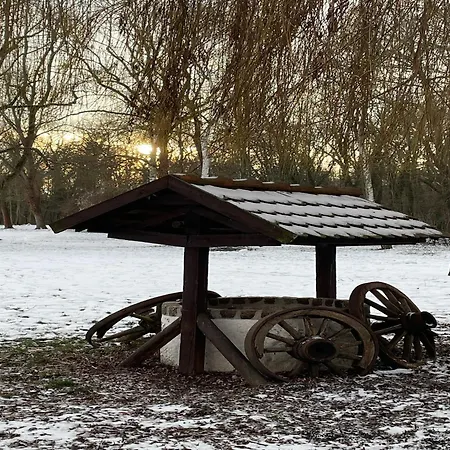 Am Goethepark In Leipzig, Cleaning Included לייפציג